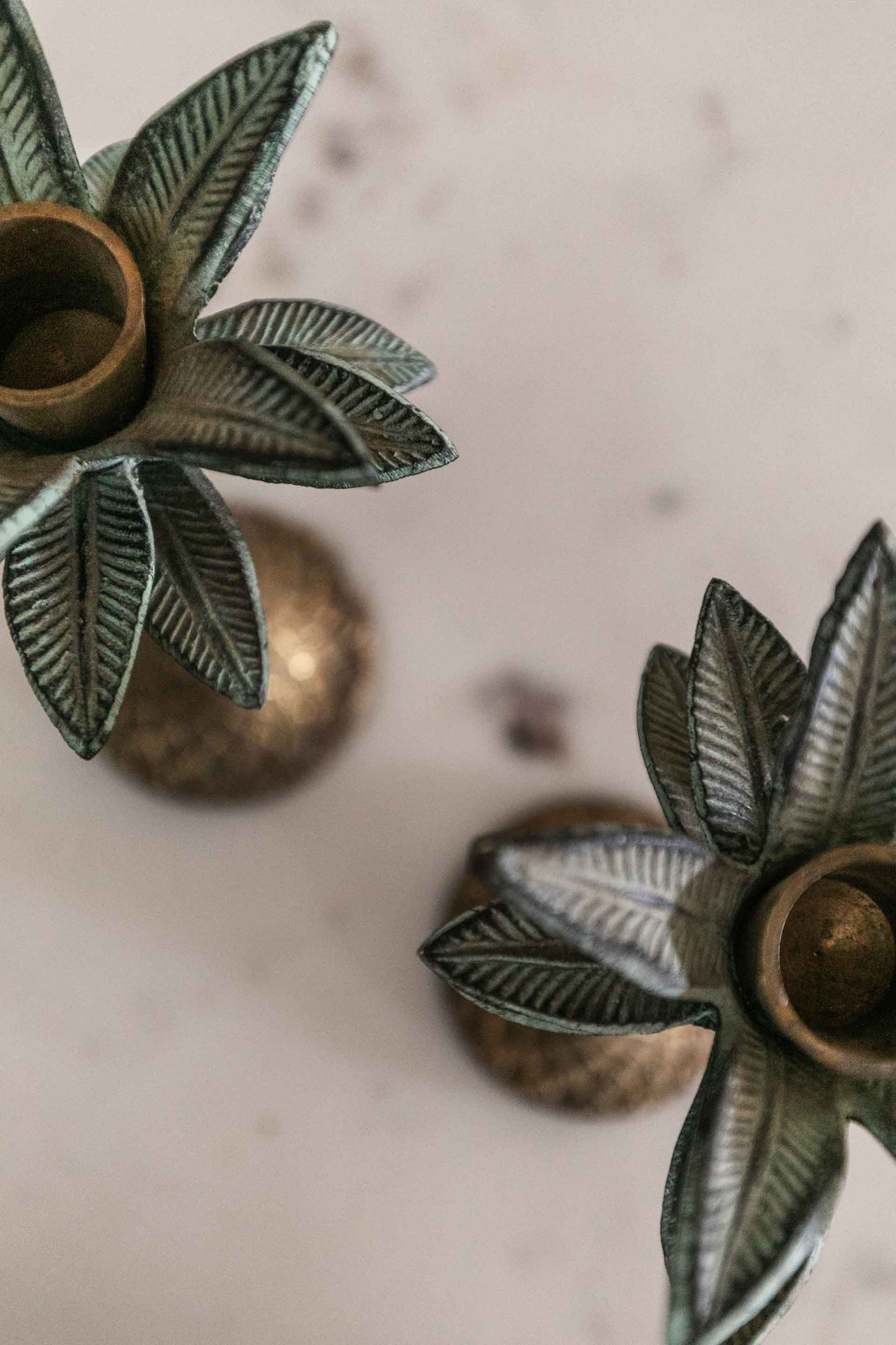Palm Brass Candlesticks, Pair