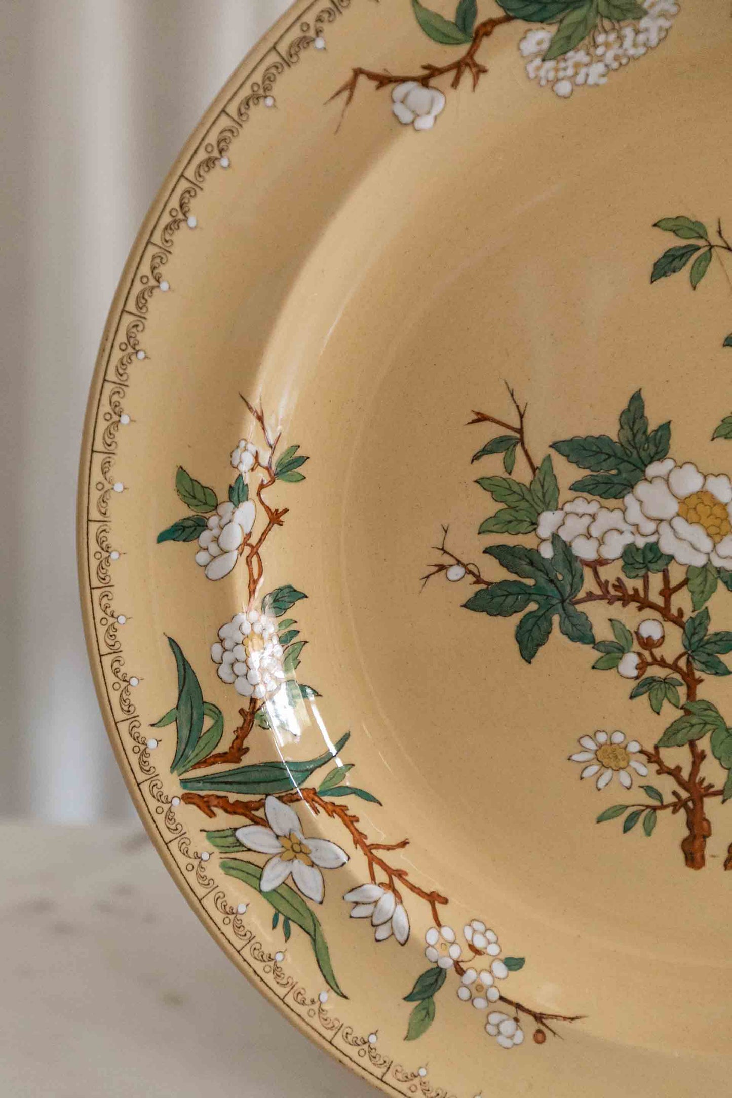 Wedgwood Plate
