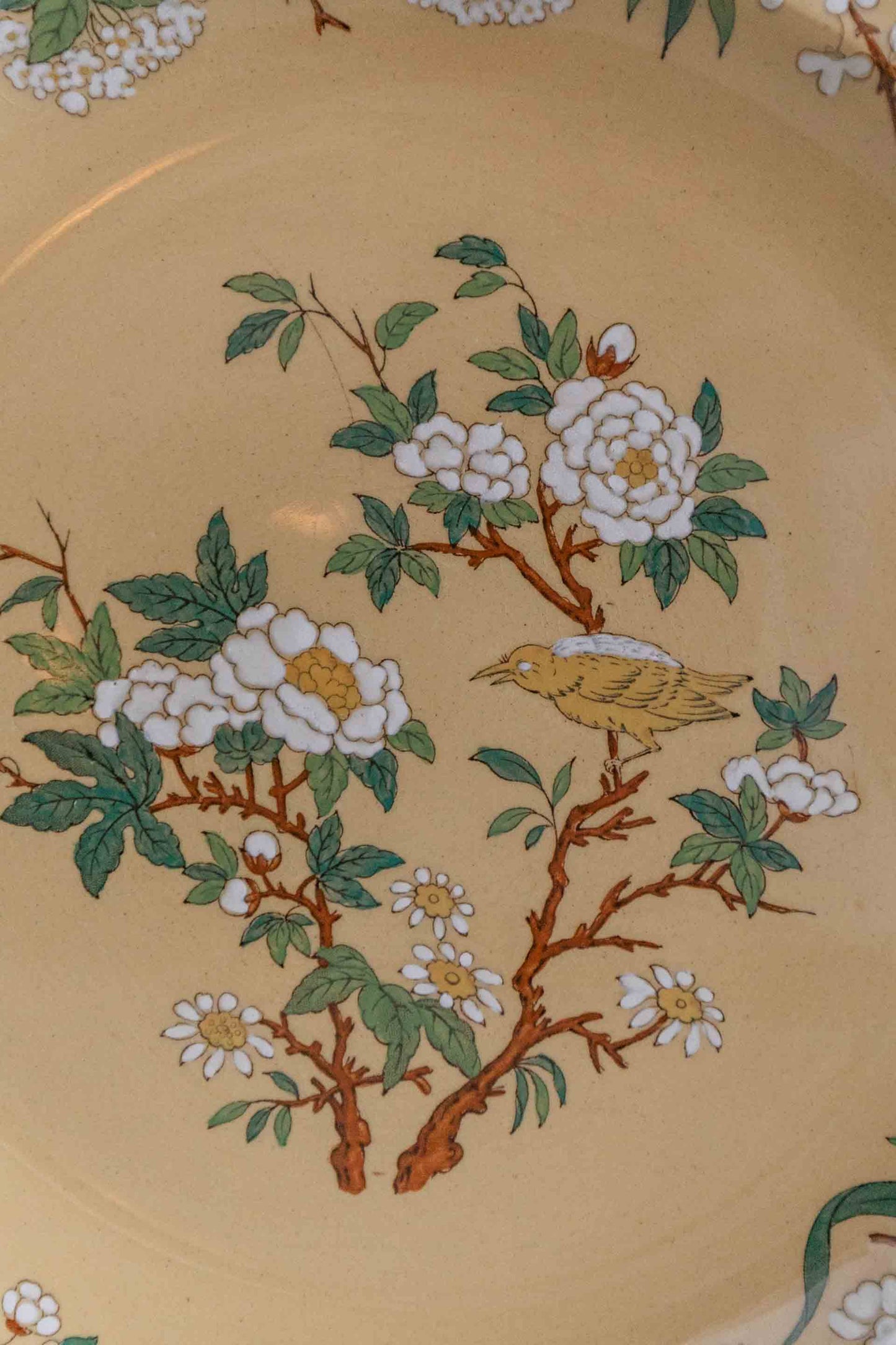 Wedgwood Plate