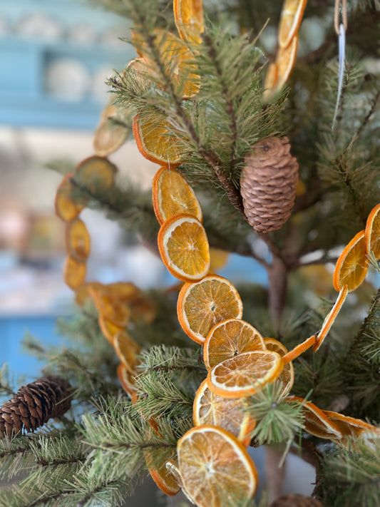 Dried Orange Garland