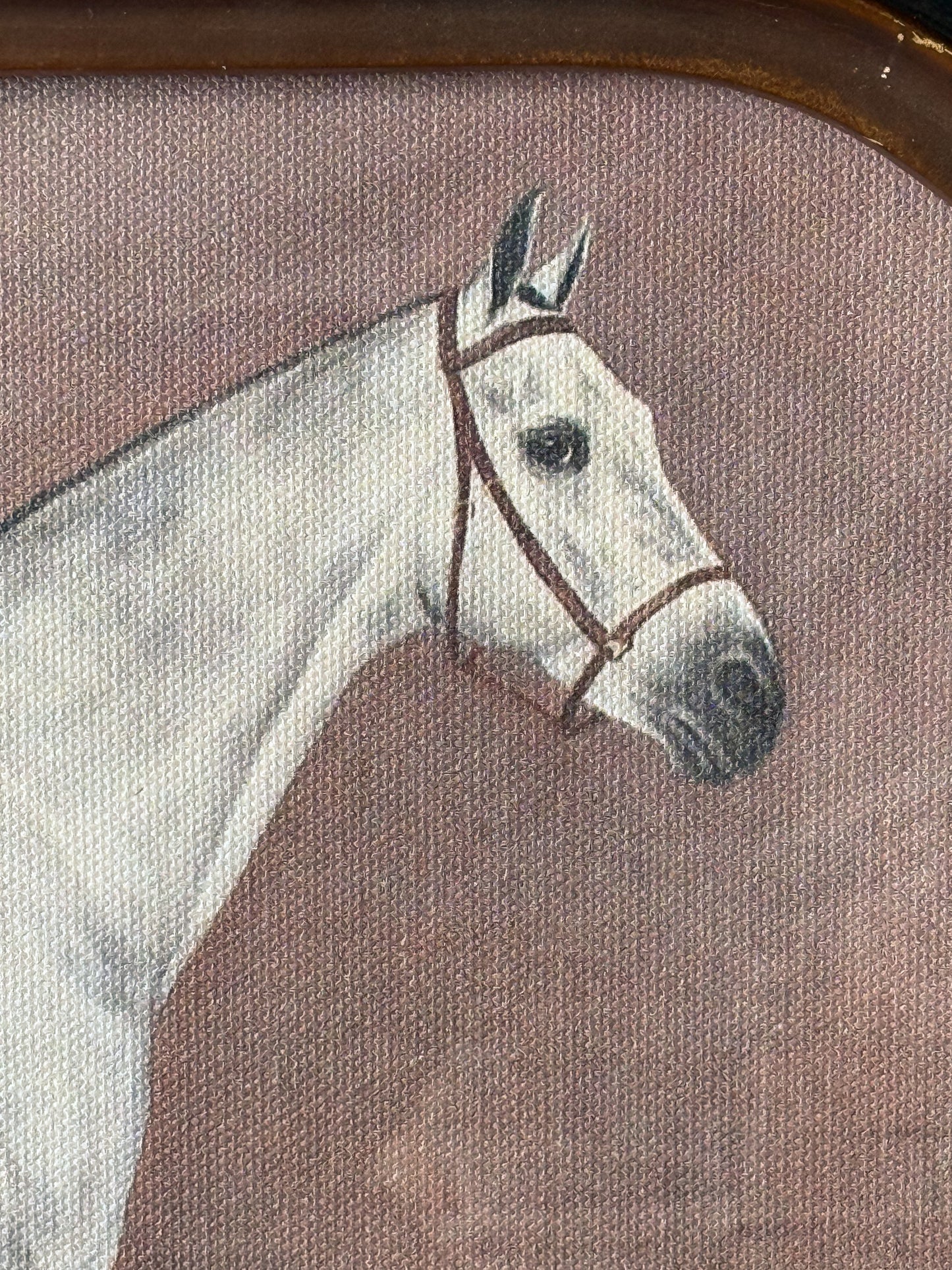 Framed Kim Horse Print