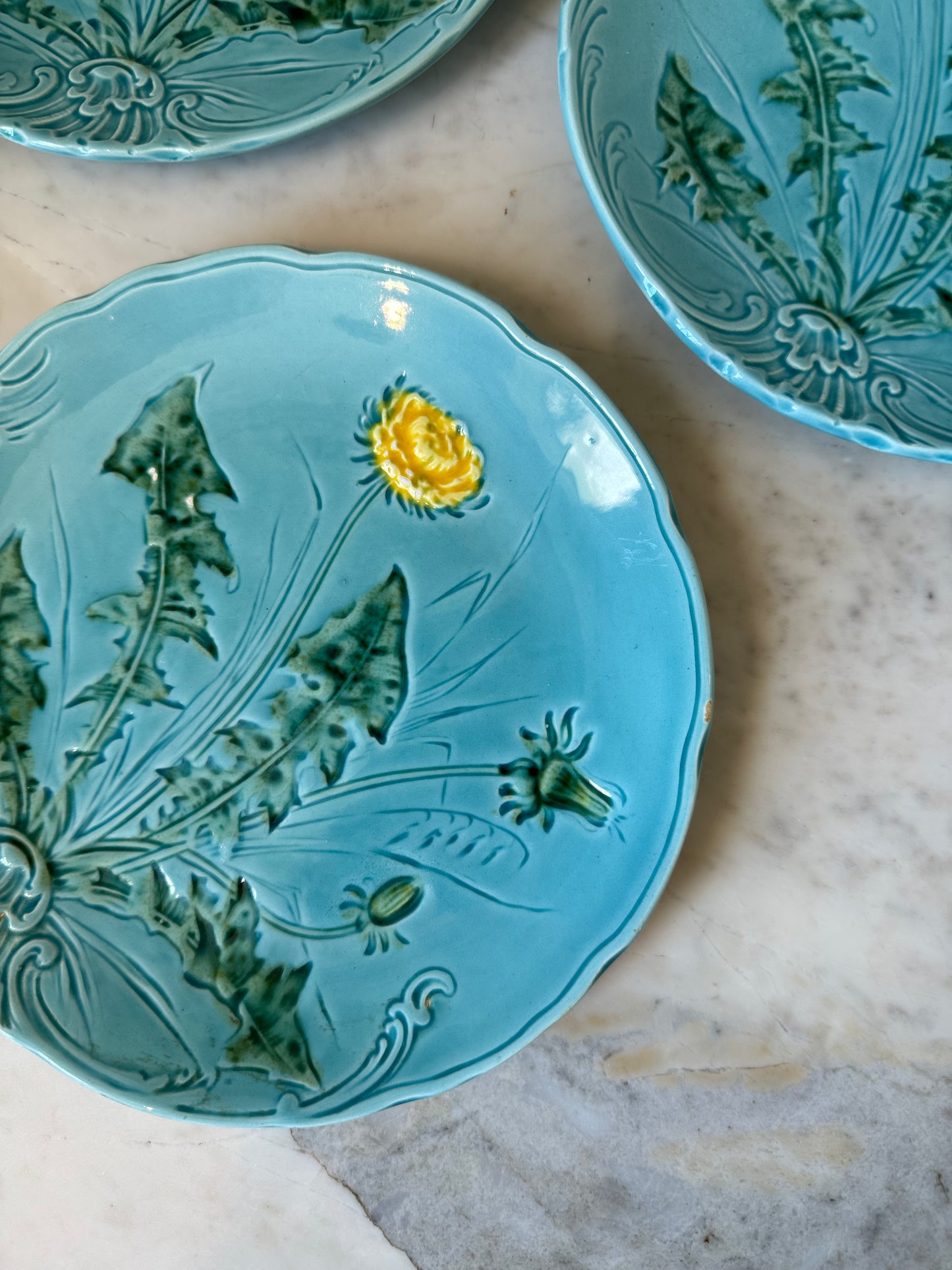 German Majolica Dishes