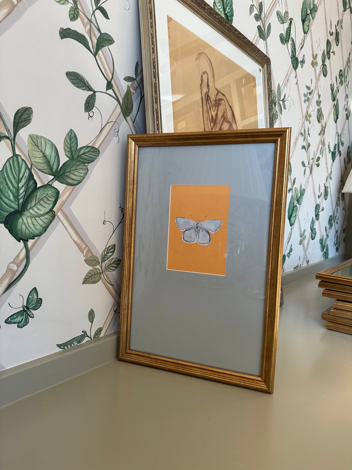 Catherine Cartie Butterfly, Framed