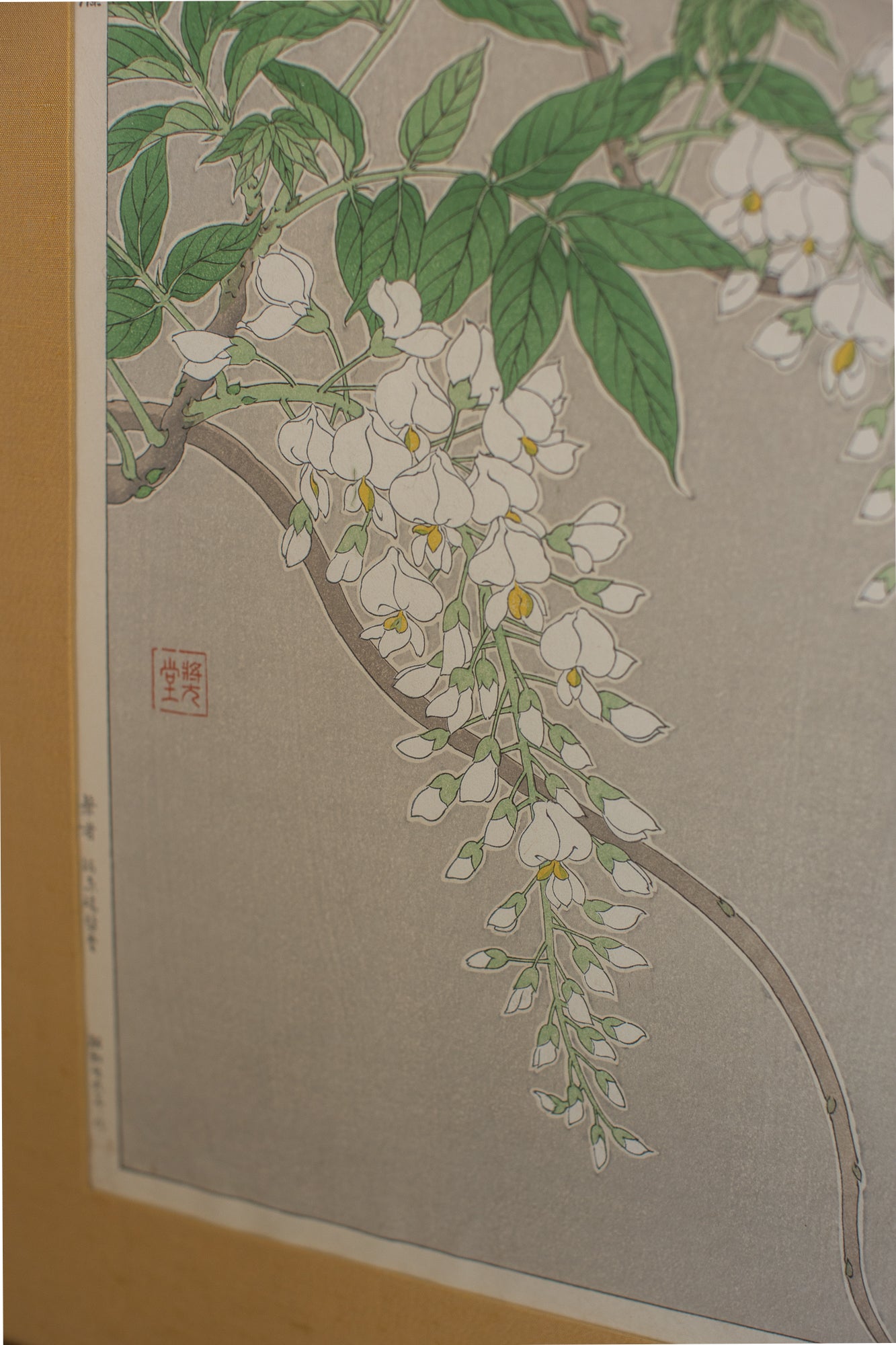 Japanese Wisteria Woodblock Print