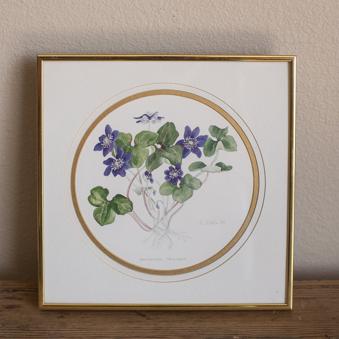 Framed Hepatica Watercolor Botanical Print