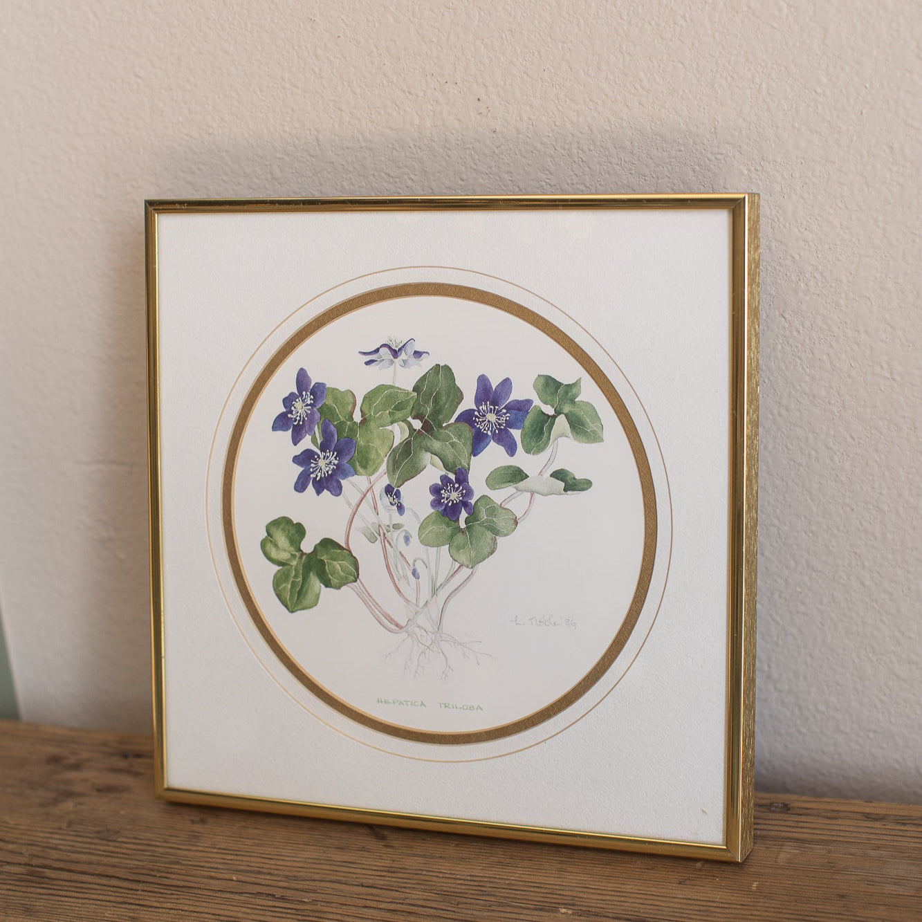Framed Hepatica Watercolor Botanical Print