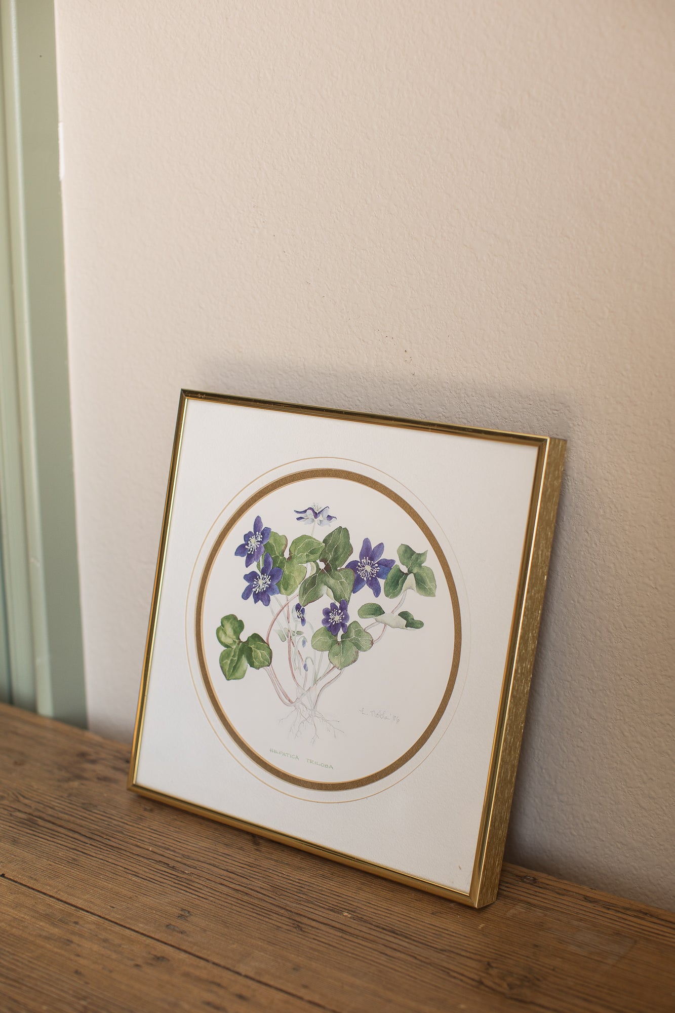 Framed Hepatica Watercolor Botanical Print