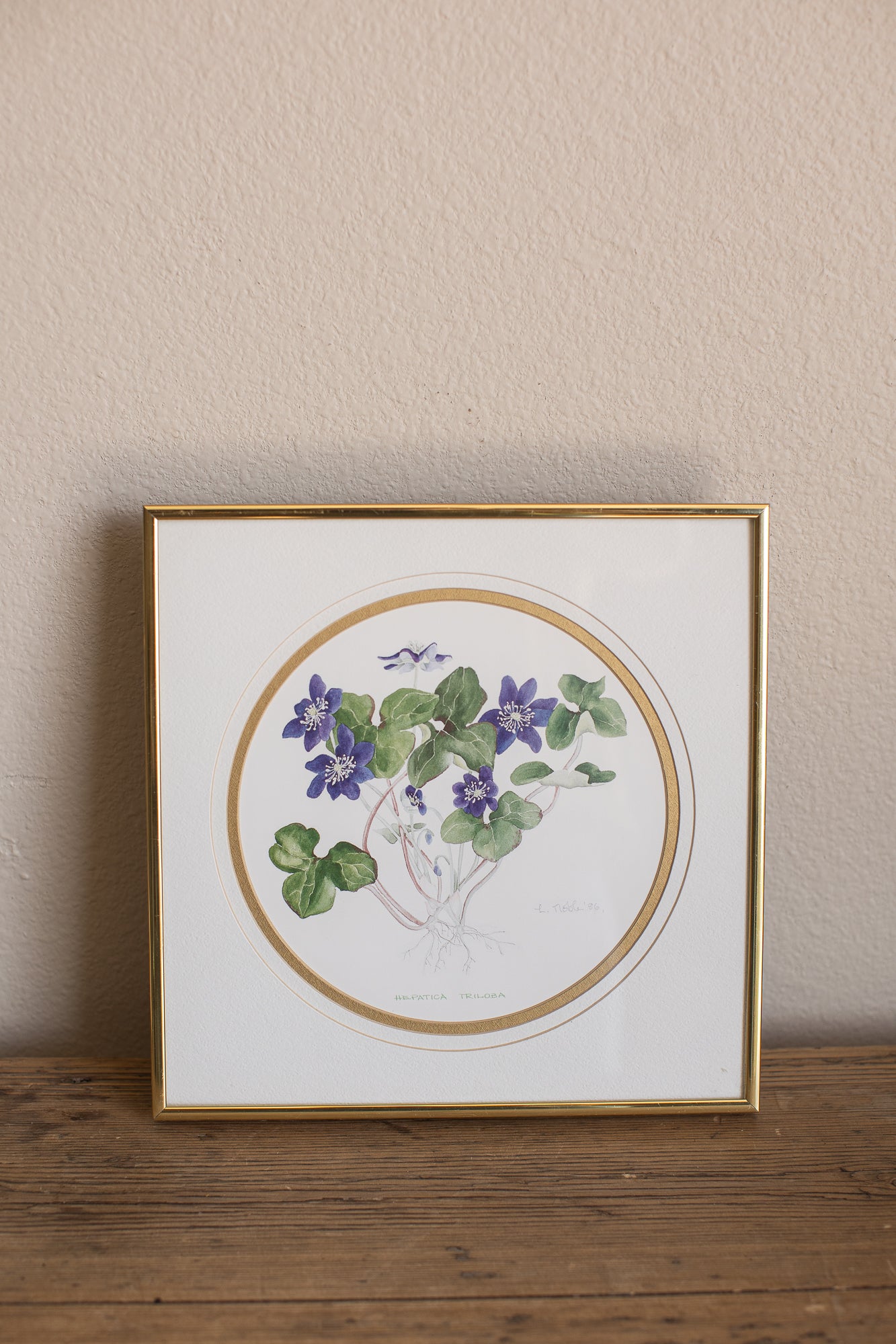 Framed Hepatica Watercolor Botanical Print