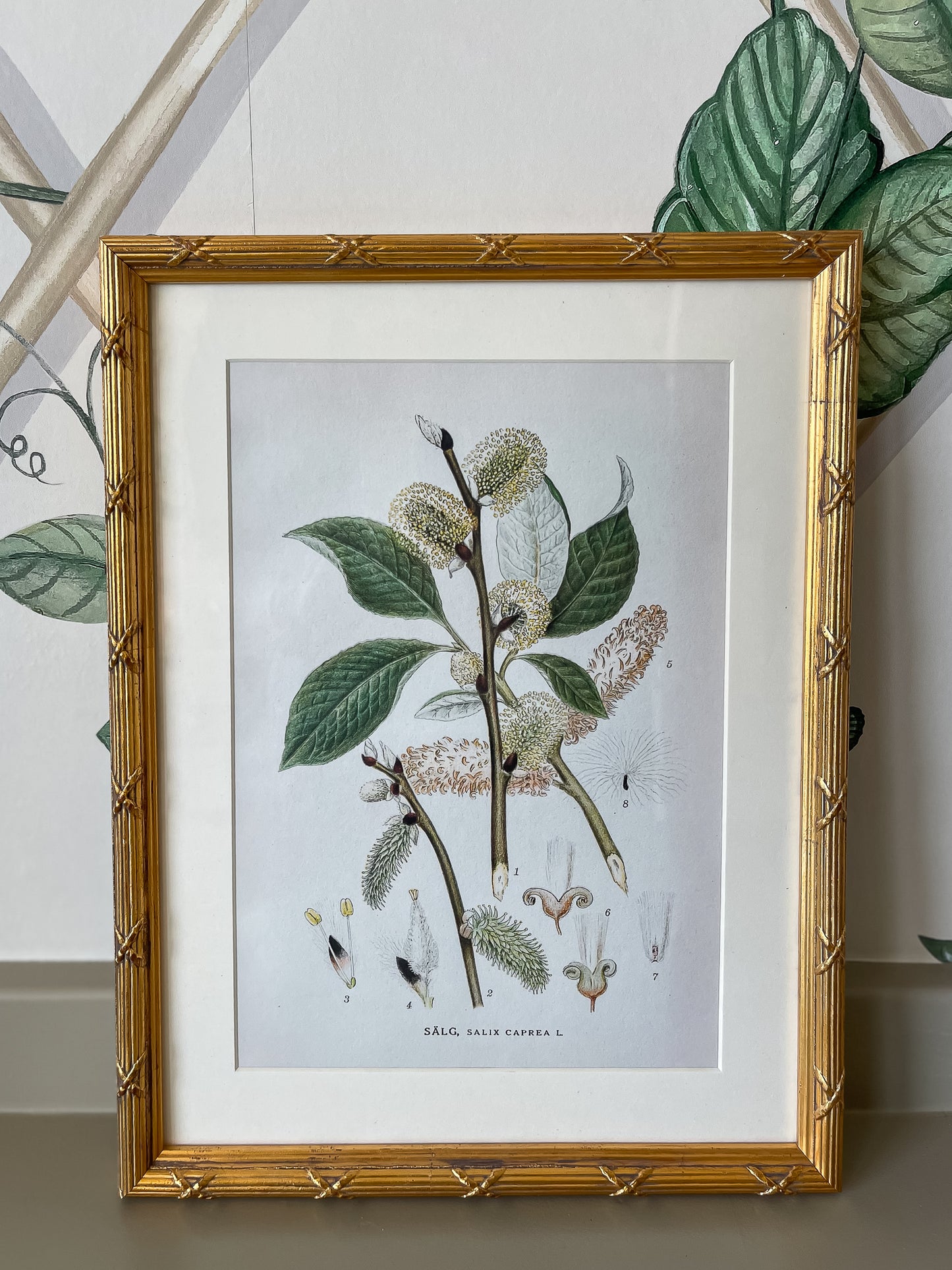 Arundel Matted Frame, Gold