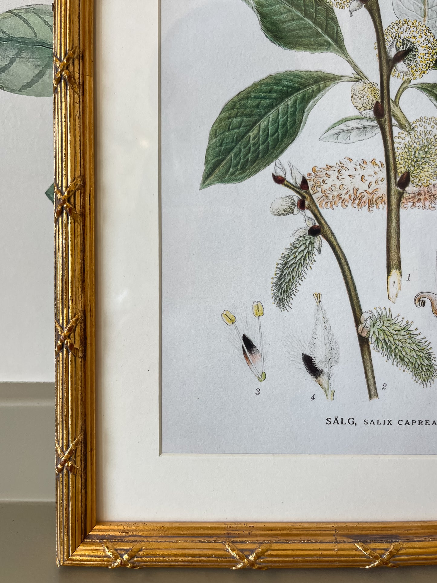 Arundel Matted Frame, Gold
