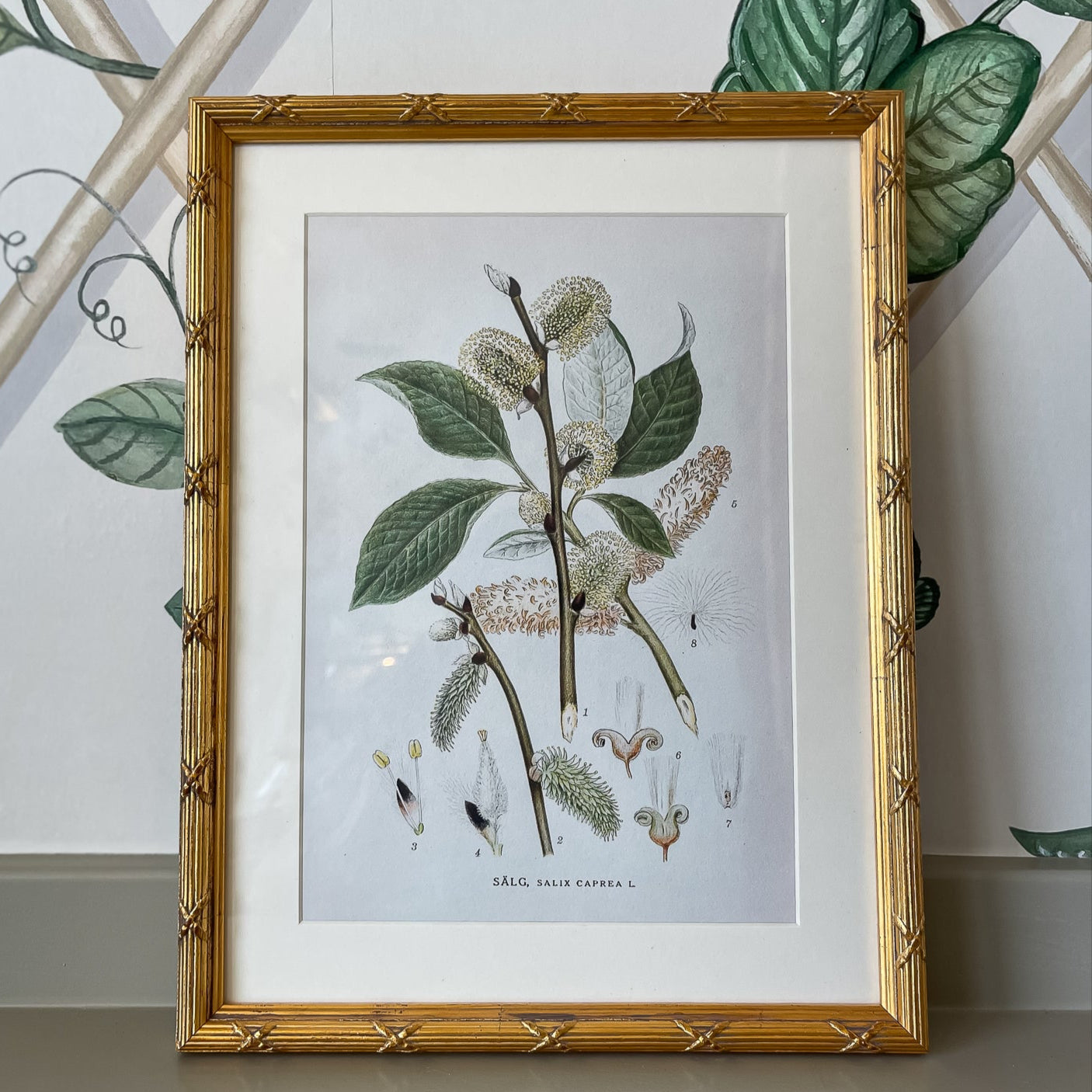 Arundel Matted Frame, Gold