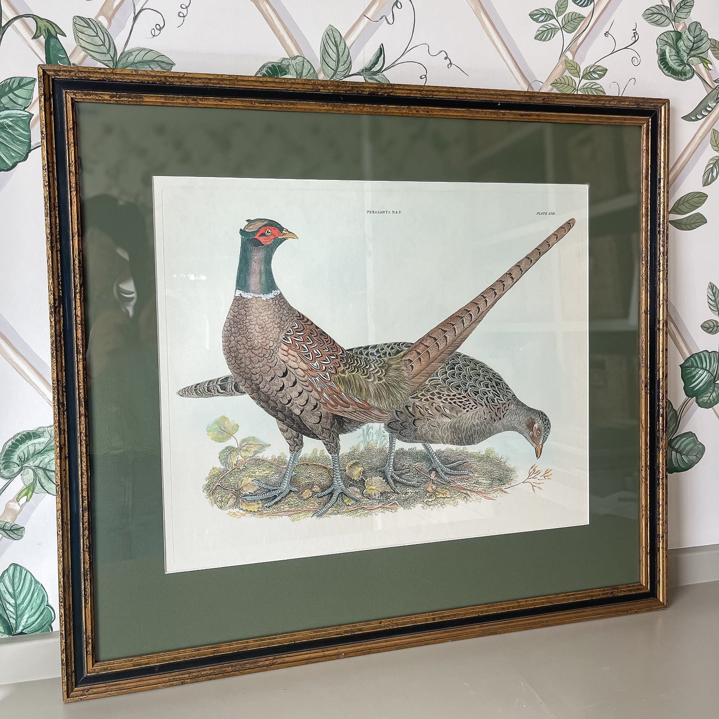 Framed Vintage Pheasant Print