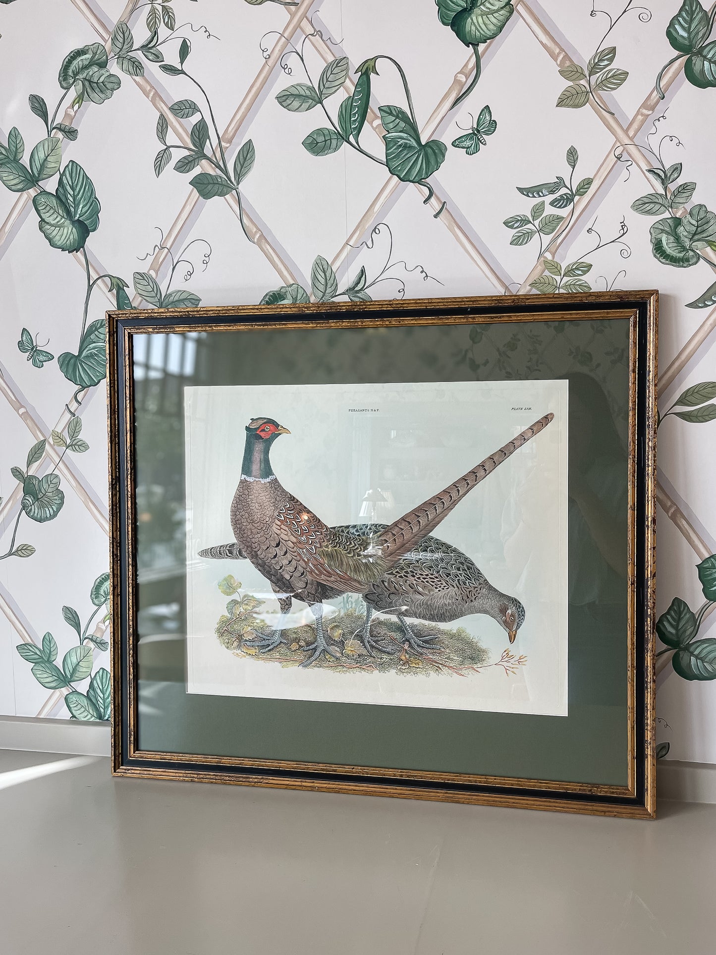 Framed Vintage Pheasant Print