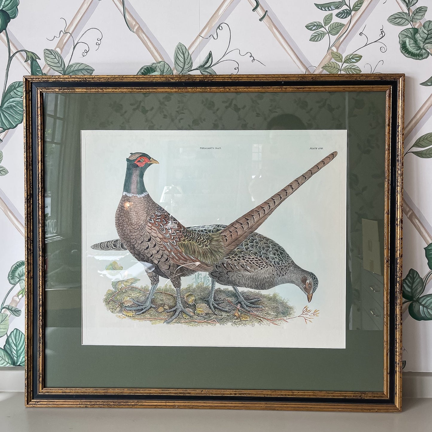 Framed Vintage Pheasant Print