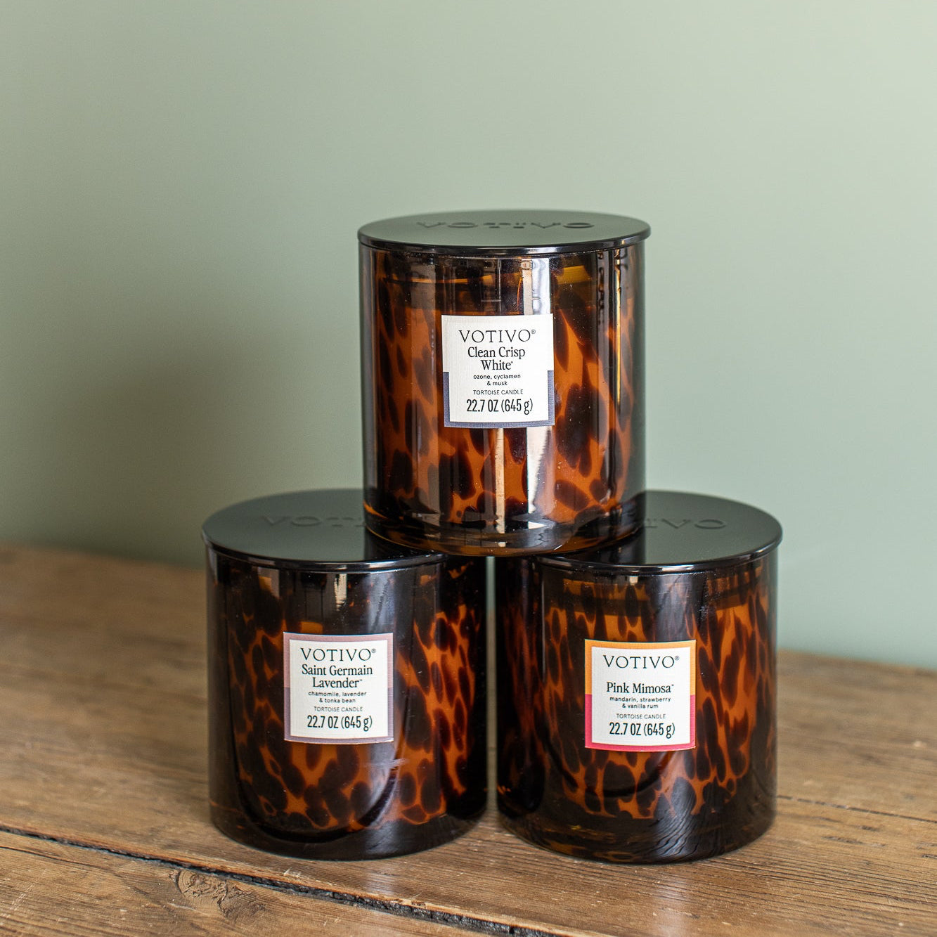 Tortoise Shell Candle, Saint Germaine Lavender