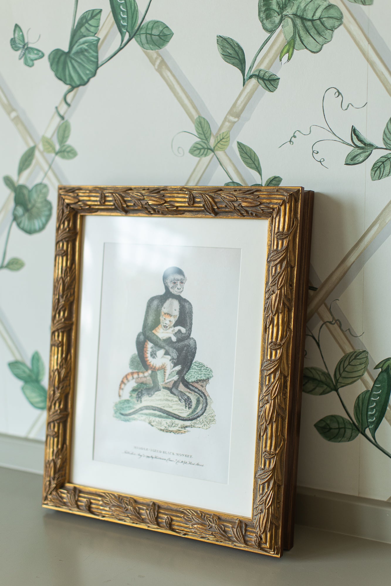 Hampshire Matted Frame