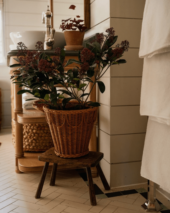 Pinet Plant Pot, Sharland England - OAKSTREET SHOPPE