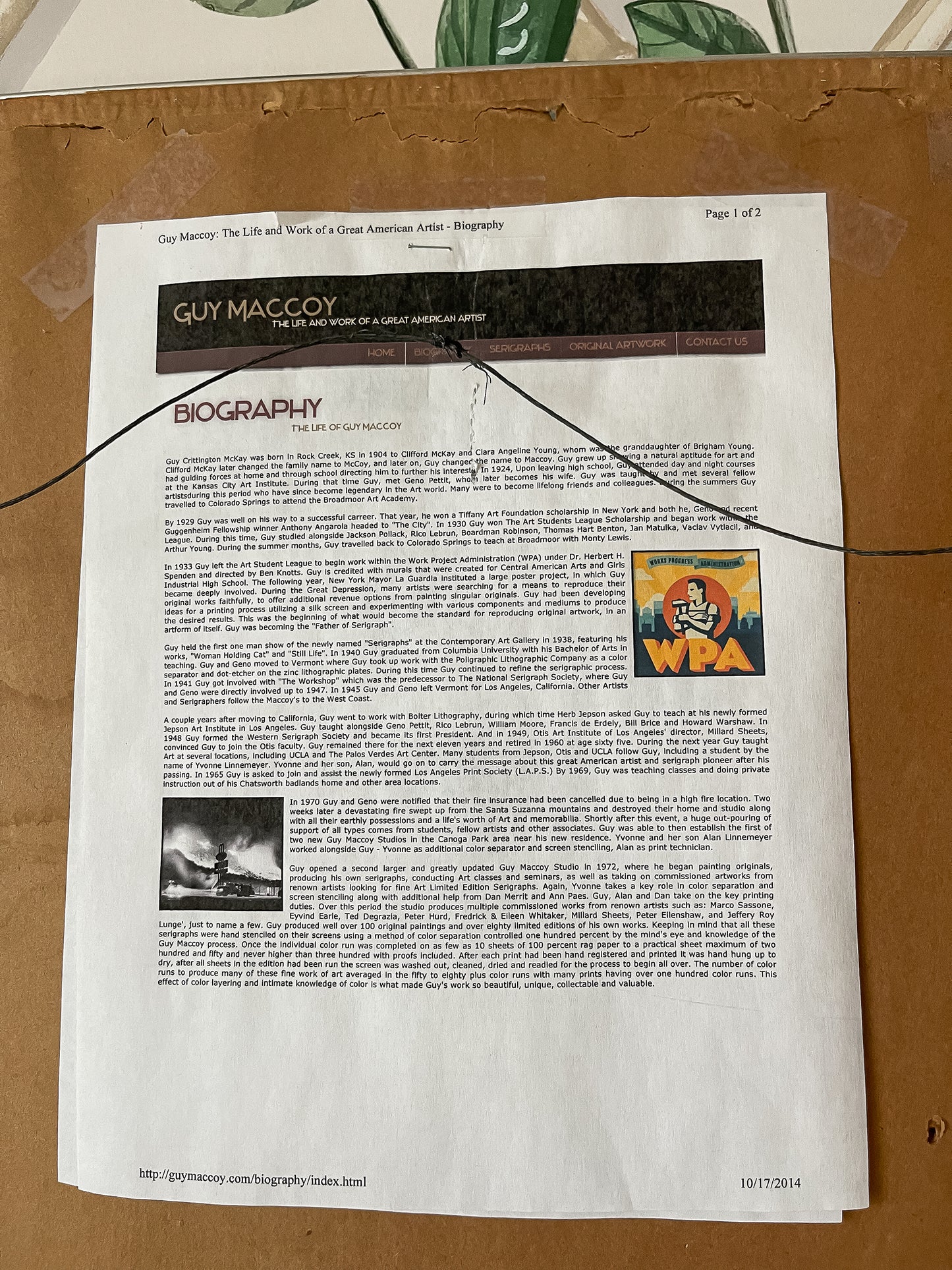 Framed MCM Bird Lithograph