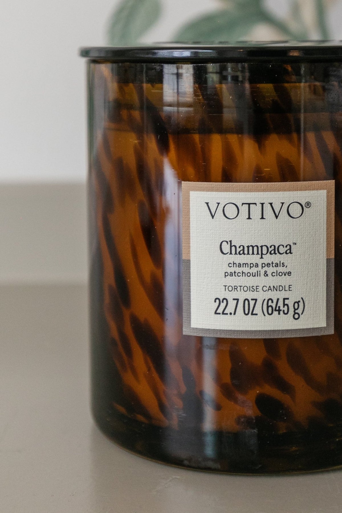 Tortoise Shell Candle, Champaca - OAKSTREET SHOPPE