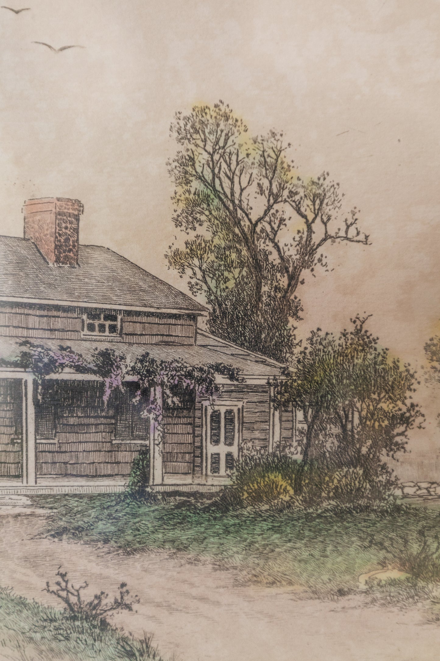 Edgar Allen Poe Cottage