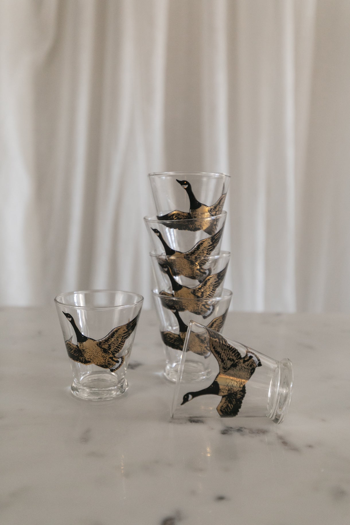 Flying Geese Glasses, Set of 6