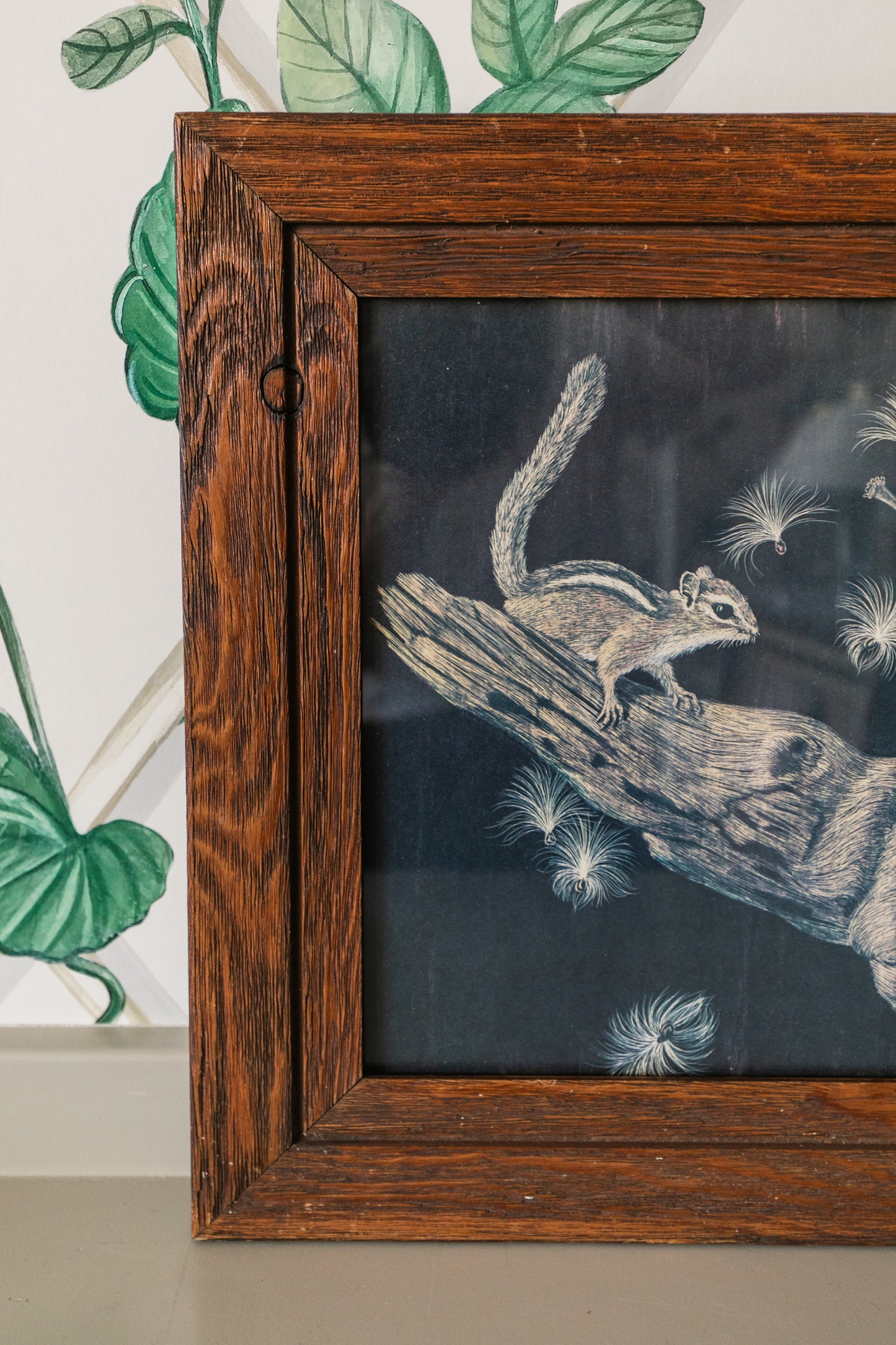Framed Squirrel Print