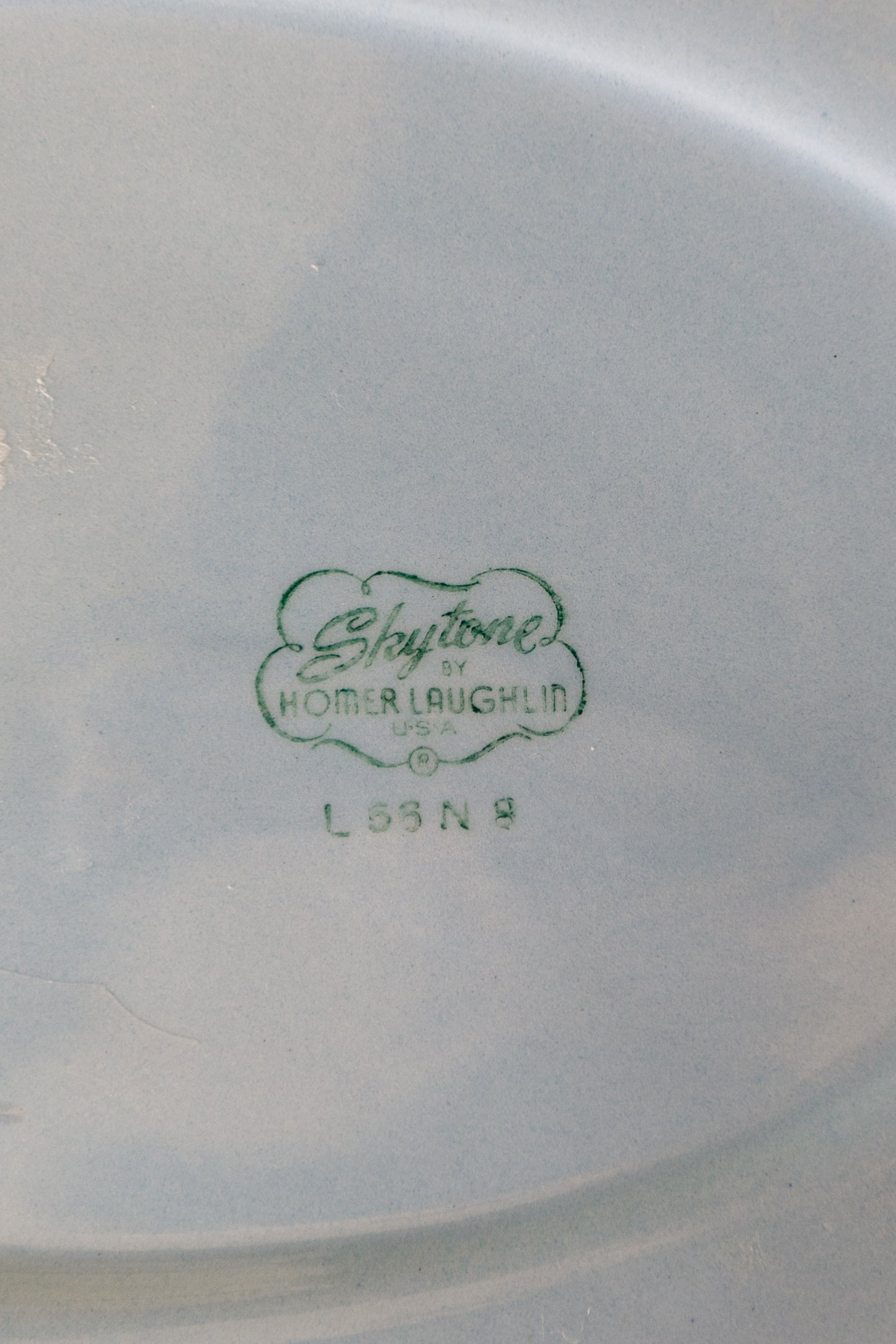Vintage Floral Hand-Painted Homer Laughlin Skytone Plate