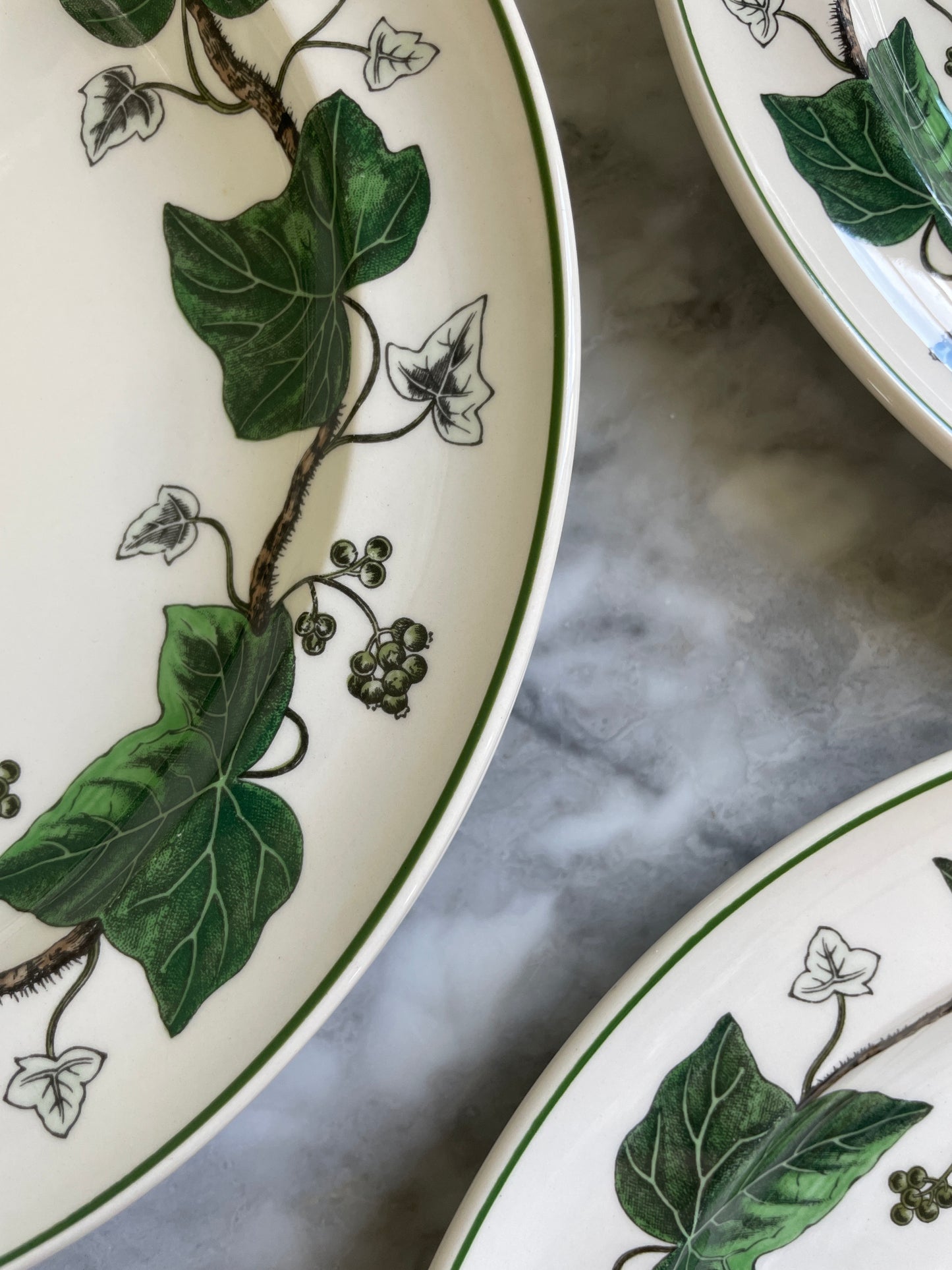 Wedgwood Ivy Dinner Plates (6 available)