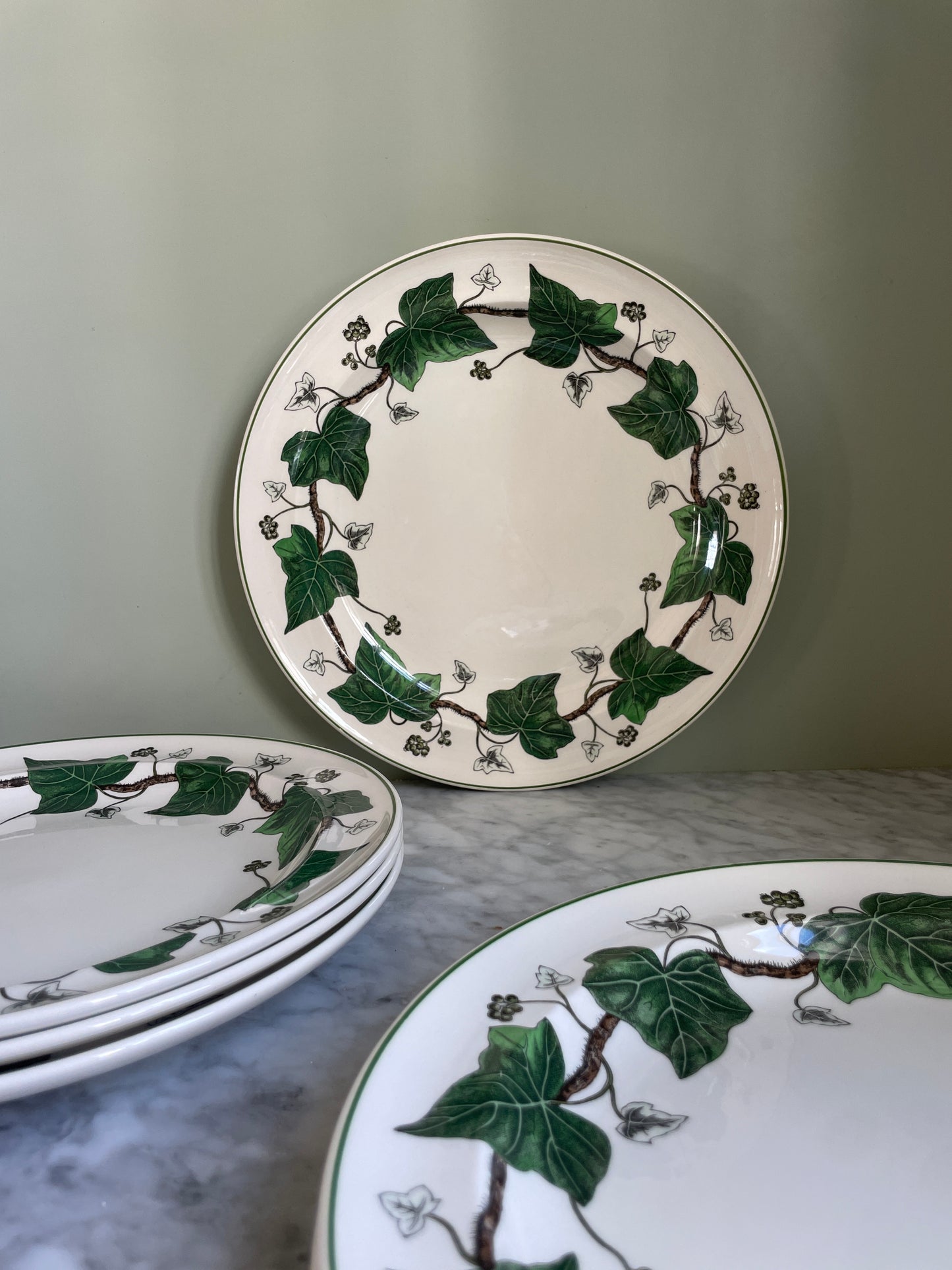 Wedgwood Ivy Dinner Plates (6 available)