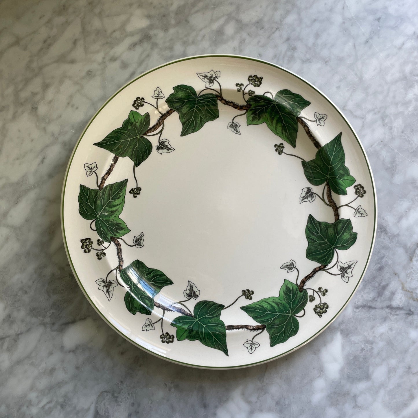 Wedgwood Ivy Dinner Plates (6 available)