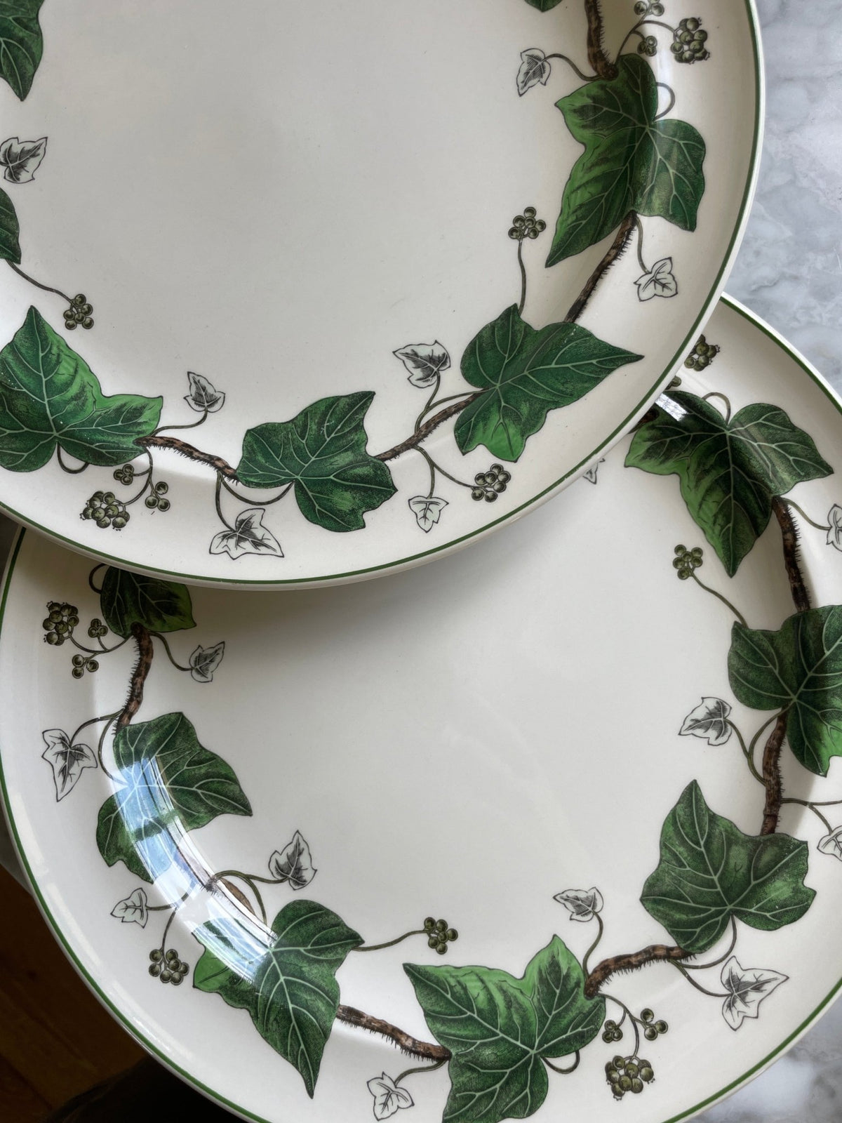Wedgwood Ivy Dinner Plates (6 available) - OAKSTREET SHOPPE