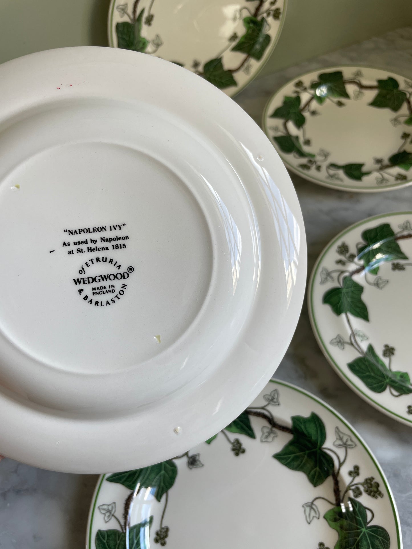 Wedgewood Ivy Bread & Butter Plates (6 available)