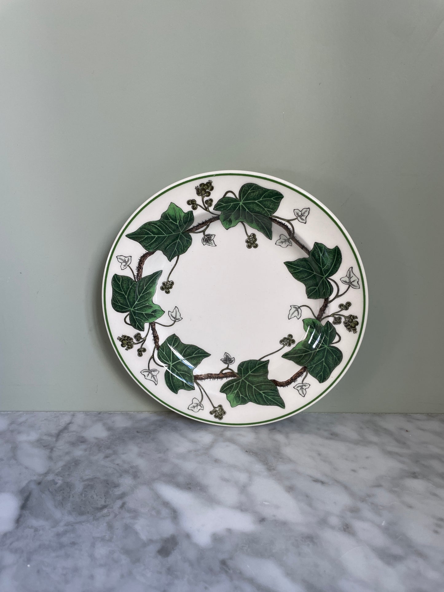 Wedgewood Ivy Bread & Butter Plates (6 available)