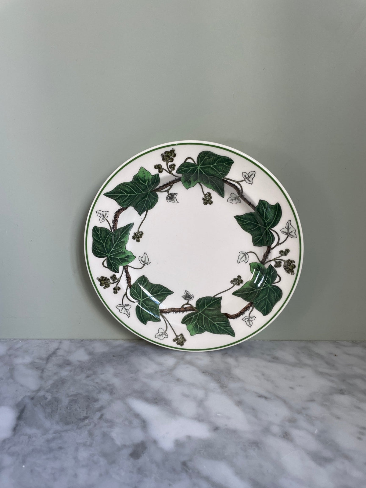 Wedgewood Ivy Bread & Butter Plates (6 available) - OAKSTREET SHOPPE