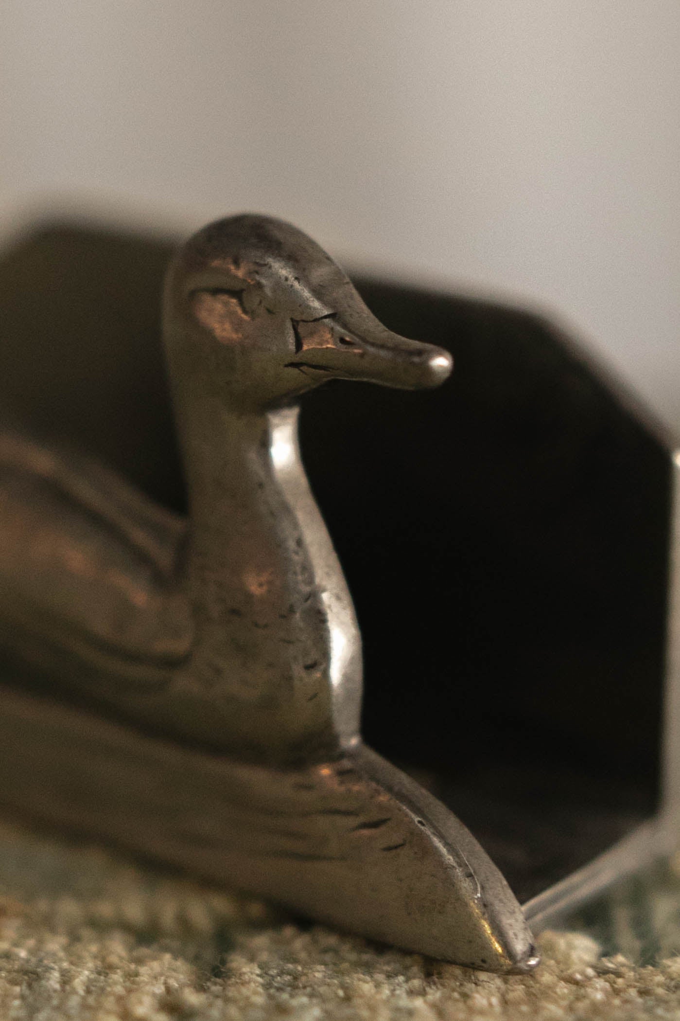 Duck Card Holder