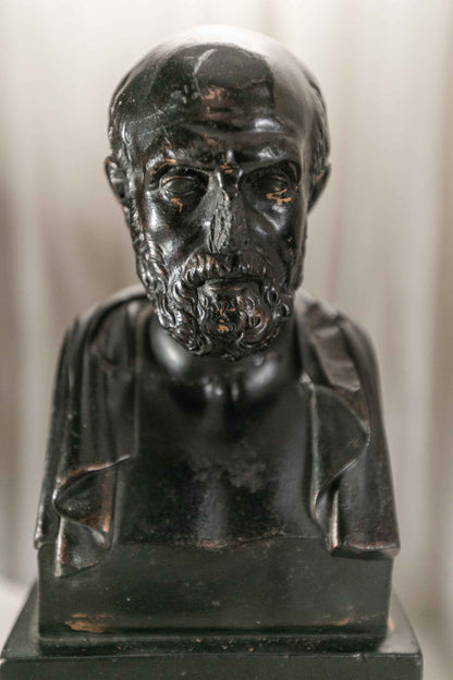 Hippocrates Bust