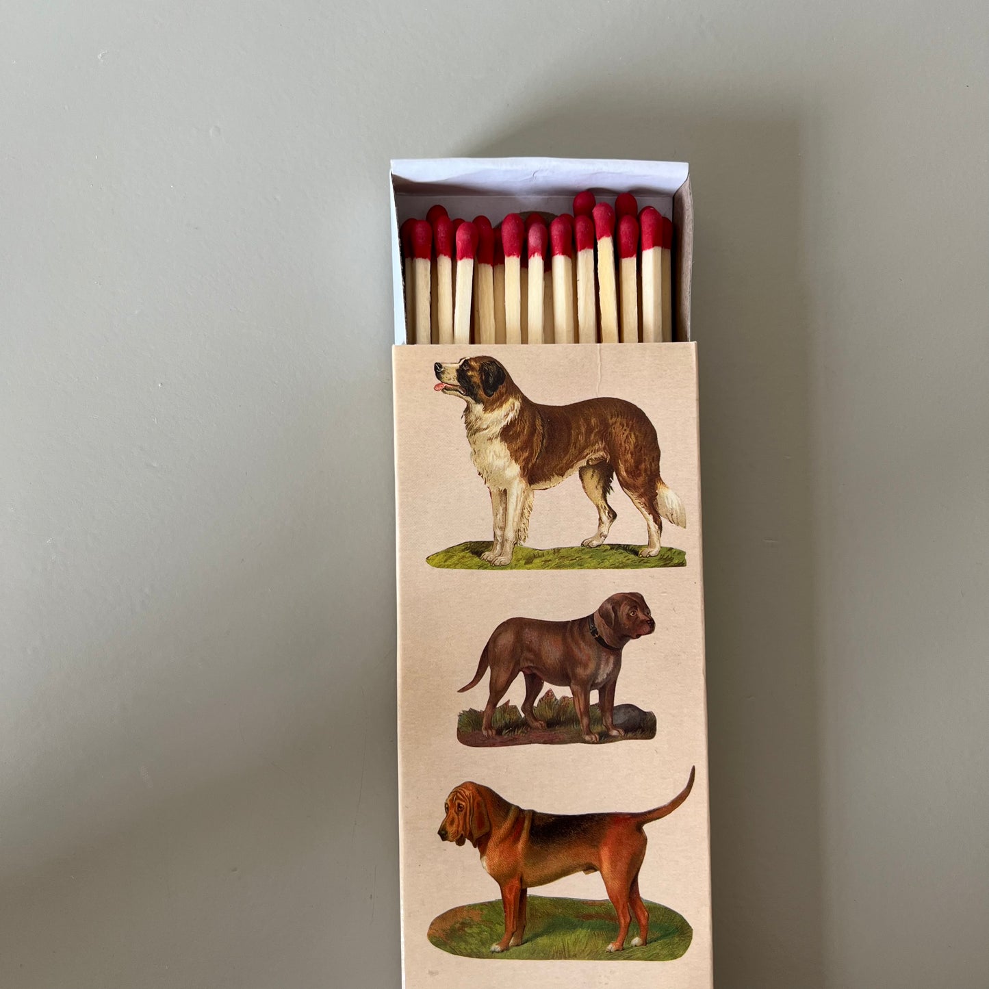 Matchbox, Dogs