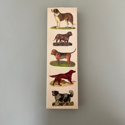 Matchbox, Dogs