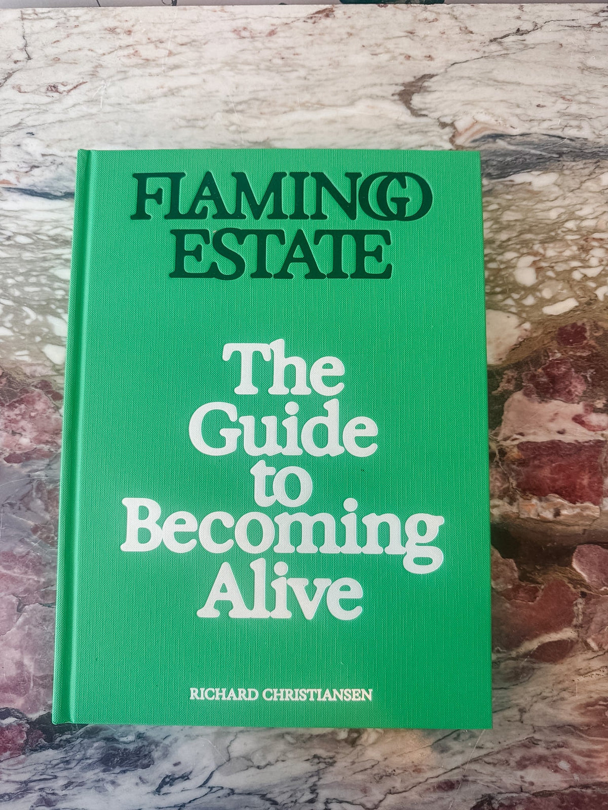 "The Guide to Becoming Alive" - OAKSTREET SHOPPE