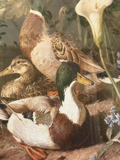 Vintage Reproduction Framed Mallards