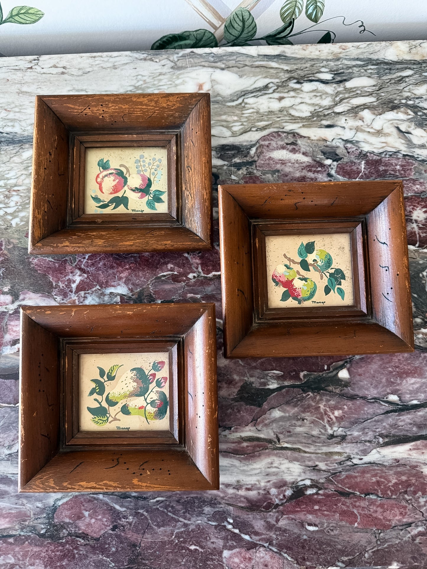 Mini Fruit Still Life Set of Three