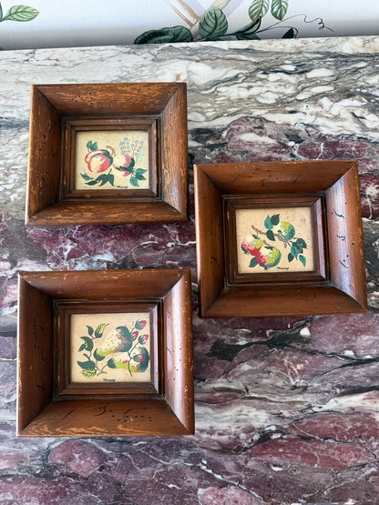 Mini Fruit Still Life Set of Three