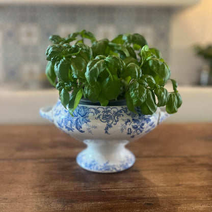 French Faience Soup Tureen Body