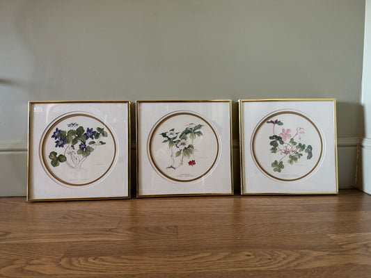 Framed Watercolor Floral Prints, Set of 3