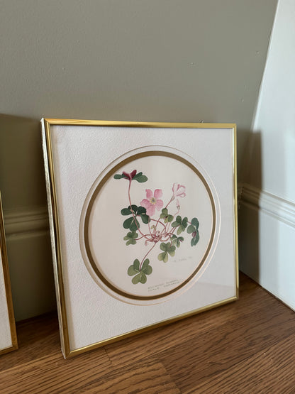 Framed Watercolor Floral Prints, Set of 3