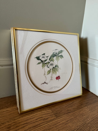 Framed Watercolor Floral Prints, Set of 3