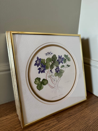 Framed Watercolor Floral Prints, Set of 3