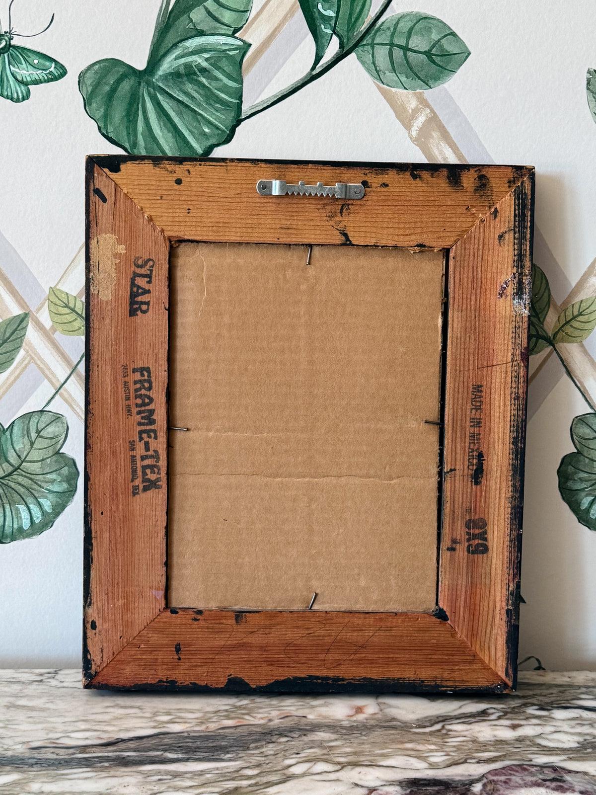 Vintage Framed Cat Print