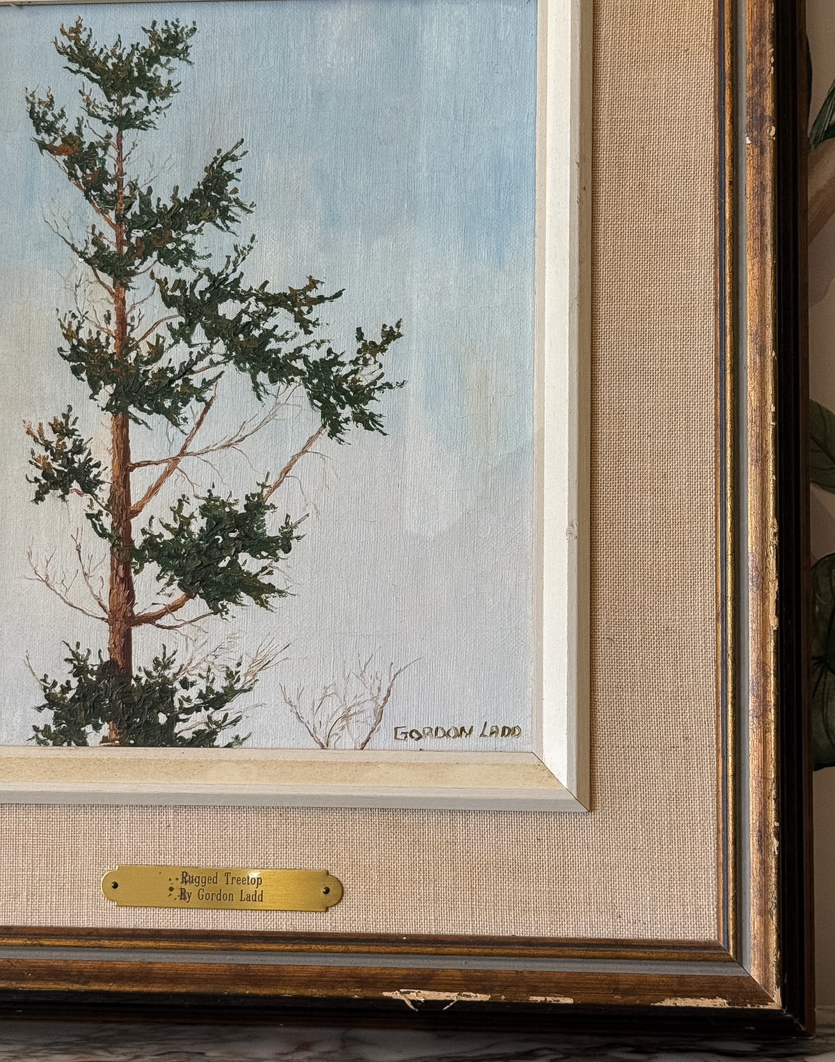 Framed scraggly Tree original Painting