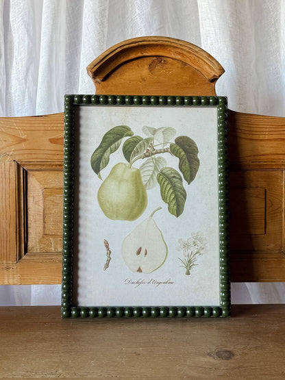 Pear Print in Hobnail Frame